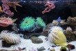 sand-2583478_1920